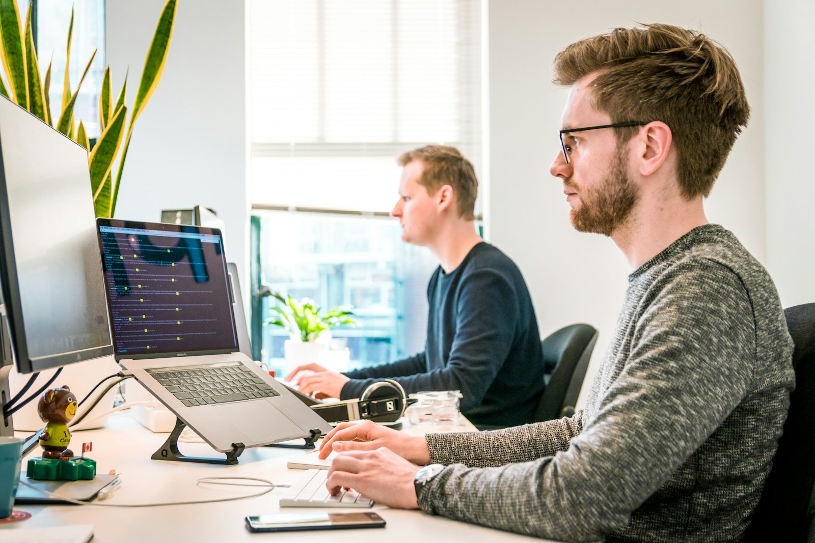 Software development